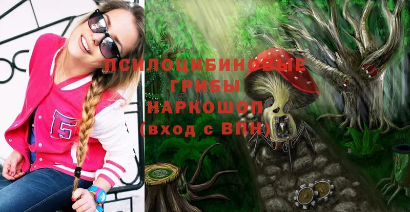 Галлюциногенные грибы Magic Shrooms  Белая Калитва 